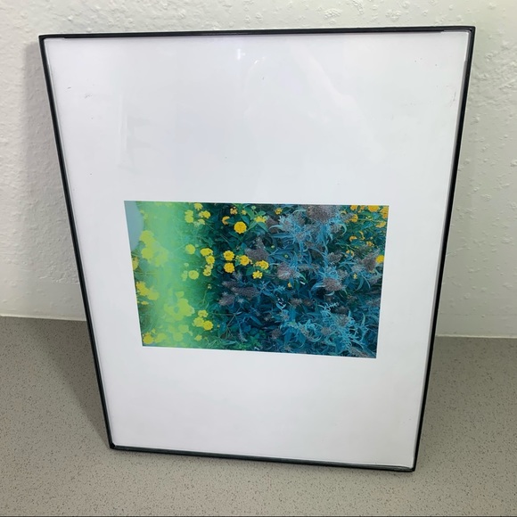 Lovely Star Original Photography Print - Picture 7 of 9